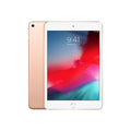 iPad Mini 5 (2019) W Gold 256 GB Parfait état - tablette reconditionnée Apple