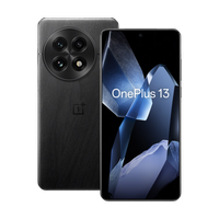 OnePlus 13